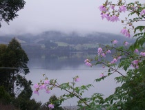 Looking out over the Huon River