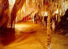 Hastings Caves and Thermal Springs