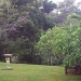 Expansive Donalea gardens in Castle Forbes Bay, Tasmania